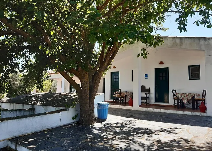 Horta Do Muro
