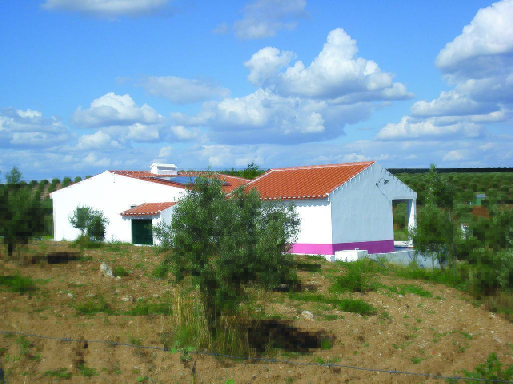 Horta Do Muro