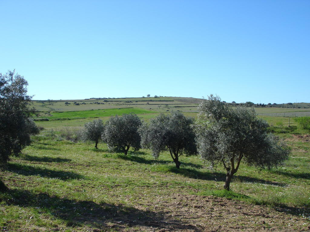 Séjour à la campagne Horta Do Muro *